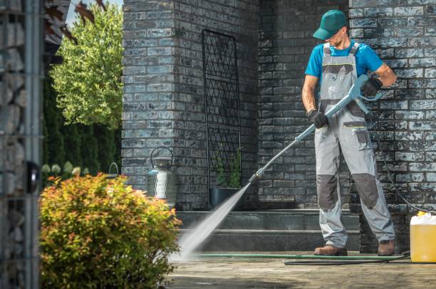 Best Driveway Pressure Washing  in Woodville, CA